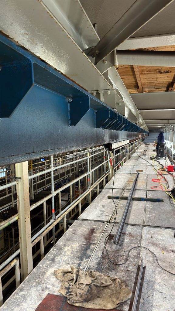 20240917 054411369 iOS 1